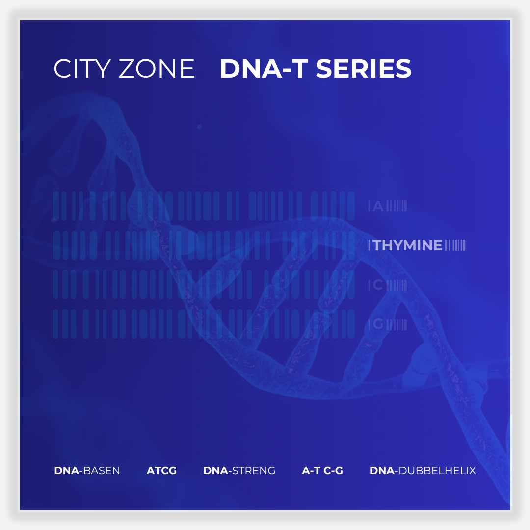 CITY ZONE - DNA SERIES