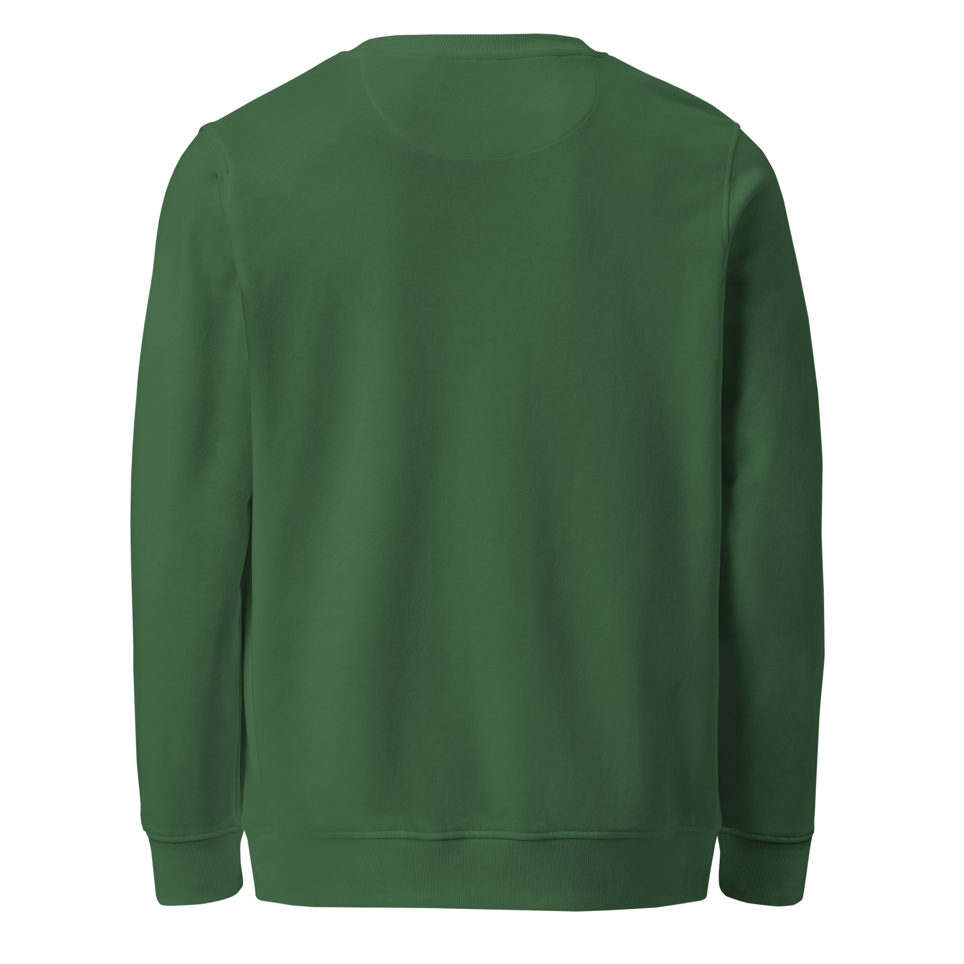 S01L FOREST SWEATSHIRT - ZONE369 - Sweatshirt