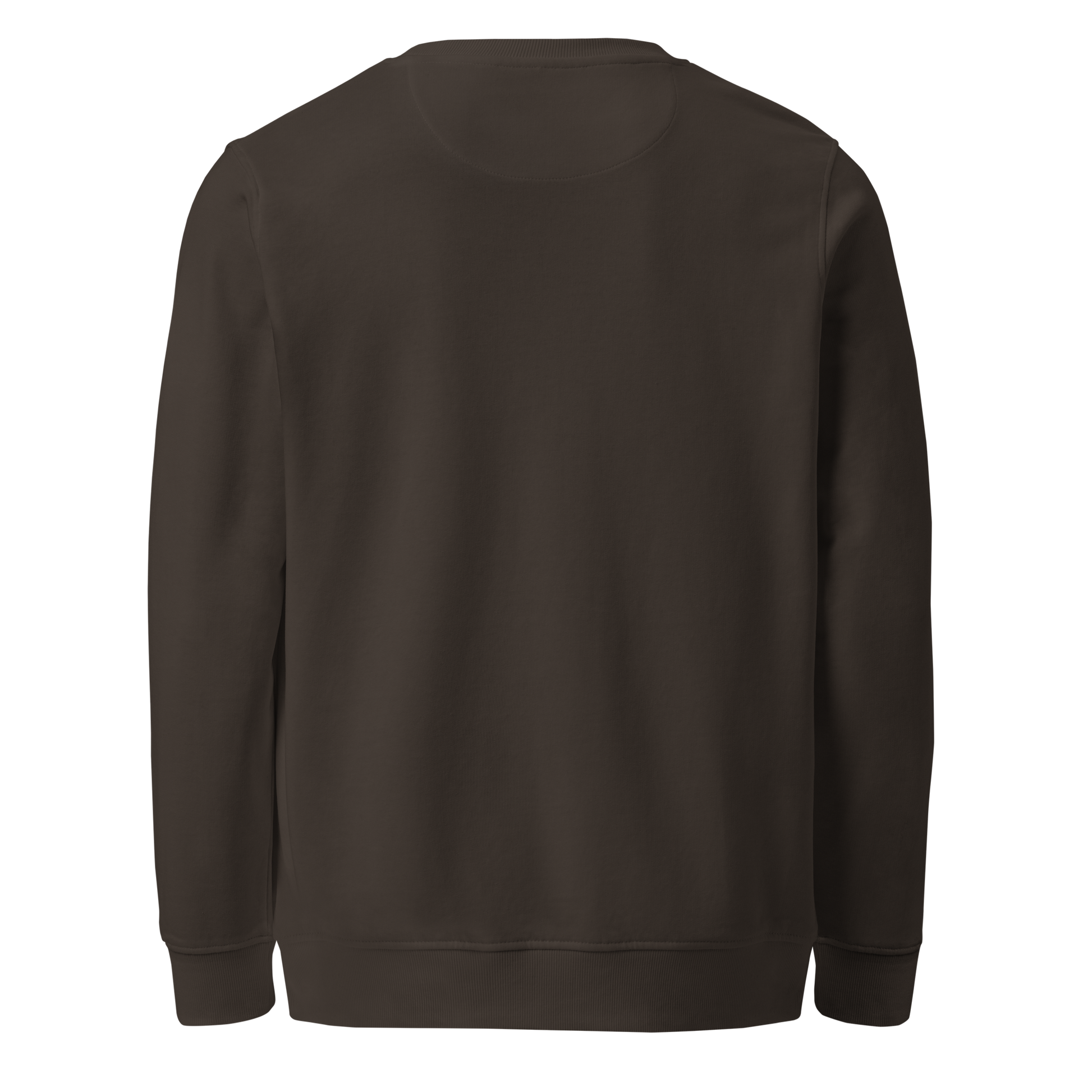 S01L RISE SWEATSHIRT - ZONE369 - Sweatshirt