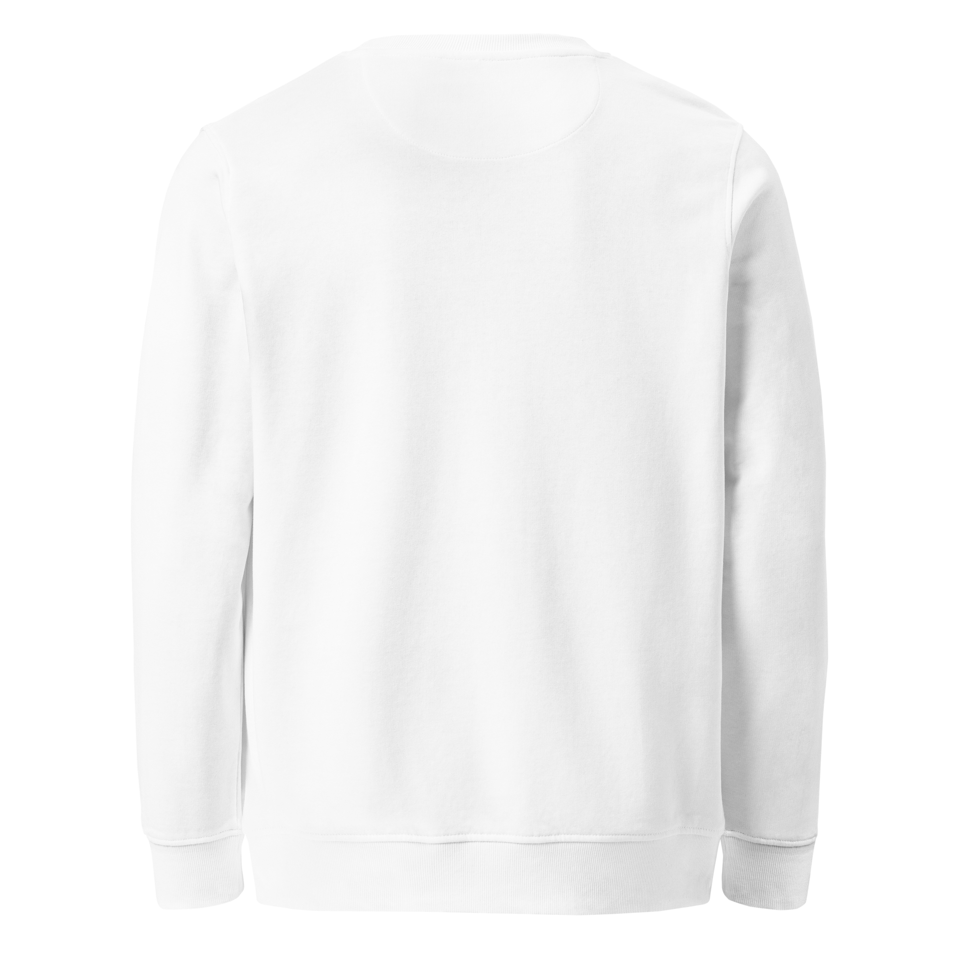 S01G UNLEASH SWEATSHIRT - ZONE369 - White Sweatshirt back