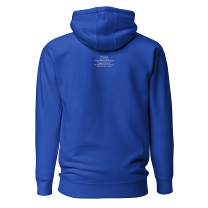 H01C  AMSTERDAM HOODIE - ZONE369 - Hoodie -   46.95